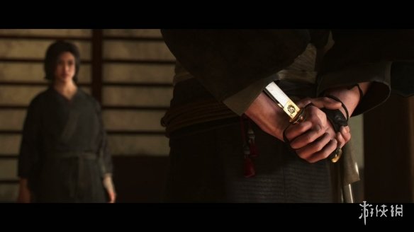 《刺客信条影》(图4)