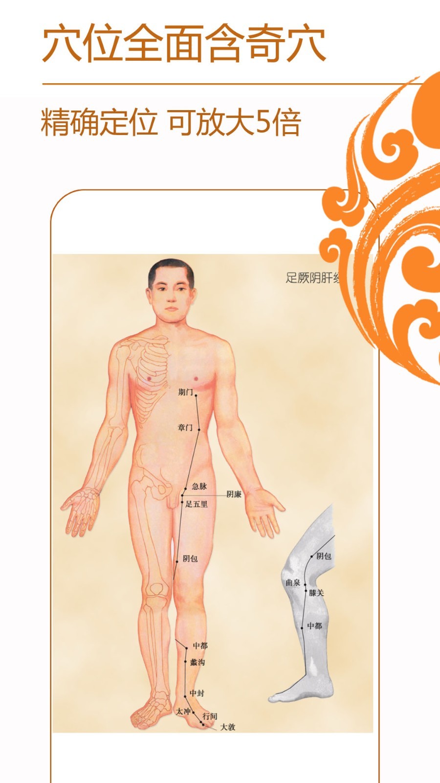 
经络养生穴位按摩app