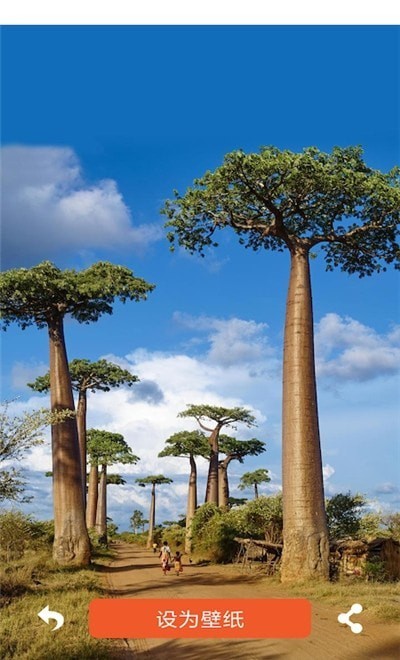 
壁纸头像大全app