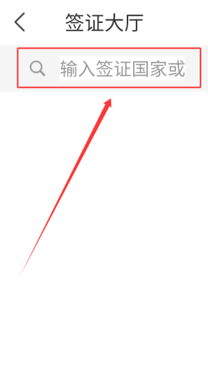 《中青旅遨游旅行》办理签证方法(图4)