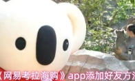 《网易考拉海购》app添加好友方法