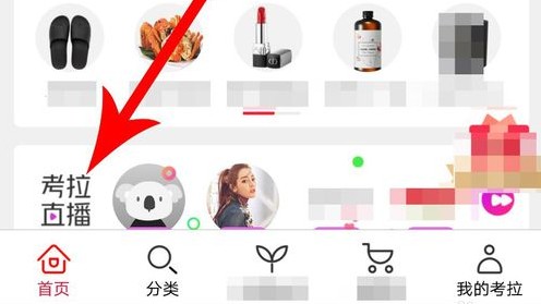考拉海购app直播入口(图3)