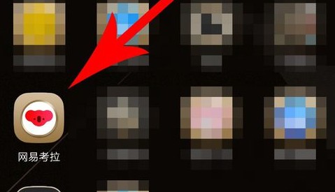 考拉海购app直播入口(图2)