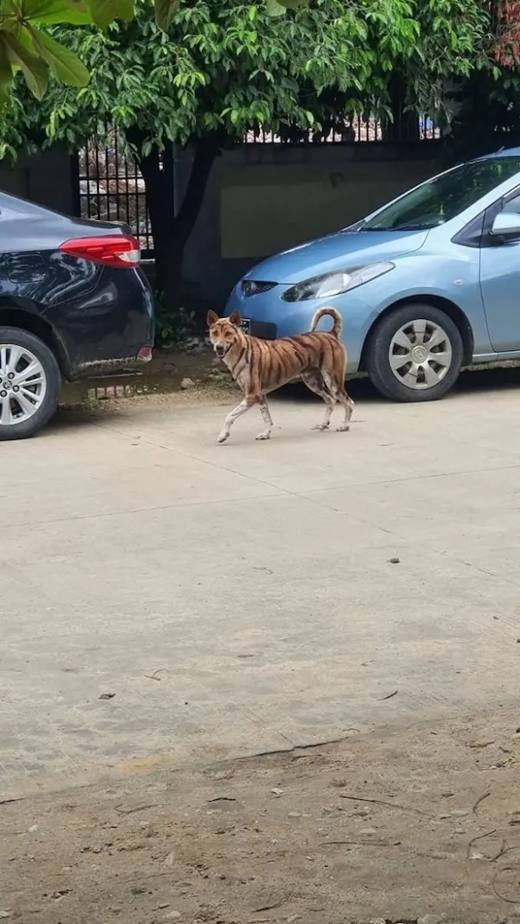 天天看腿顺风顺水 囧图  支离破碎的家 我不帮她谁帮她(图2)