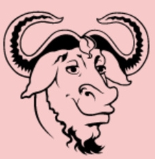 牛头环境检测 免费版