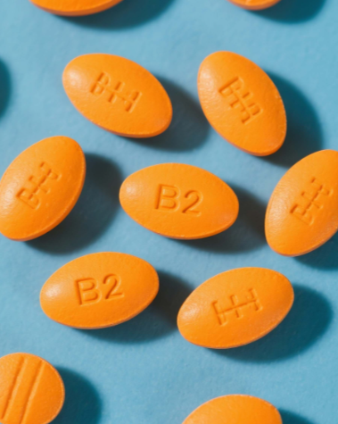 哪种营养素对维持神经系统健康至关重要？