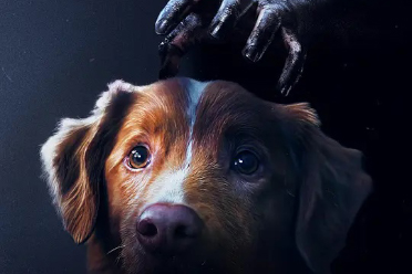 2025年最令人心碎的恐怖片《好狗狗》公开终极预告