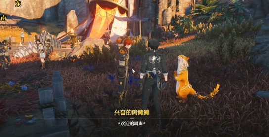 《鸣潮》2.6隐藏成就“为荣耀倾注的花雨”完成方法(图4)
