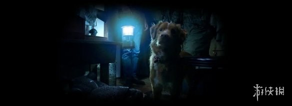 2025年最令人心碎的恐怖片《好狗狗》公开终极预告(图4)
