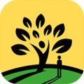 太阳树app