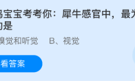 小鸡宝宝考考你犀牛感官中最为灵敏的是