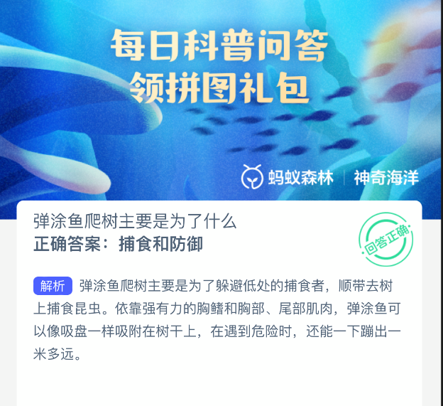 弹涂鱼爬树主要是为了什么(图2)