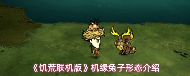 《饥荒联机版》机缘兔子两种形态介绍(图1)