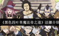 《黑色四叶草魔法帝之道》法娜介绍
