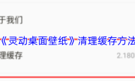 《灵动桌面壁纸》清理缓存方法
