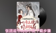 饭团追书app小说下载步骤