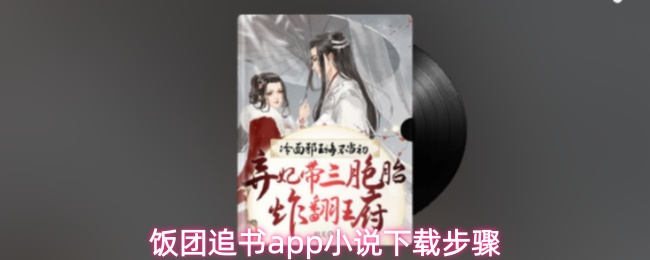 饭团追书app小说下载步骤