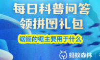 锯鳐的锯主要用于什么