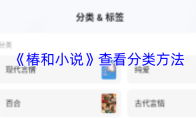 《椿和小说》查看分类方法