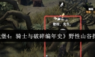 《地下城堡4：骑士与破碎编年史》野性山谷探索攻略