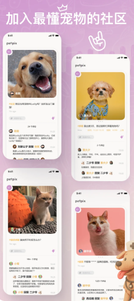 petpix(图1)