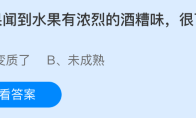 如果闻到水果有浓烈的酒糟味很可能是