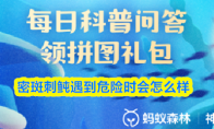 密斑刺鲀遇到危险时会怎么样