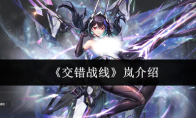 《交错战线》岚介绍