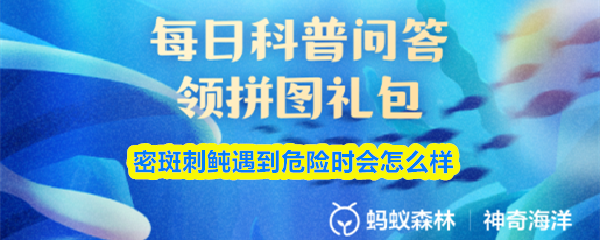 密斑刺鲀遇到危险时会怎么样(图1)