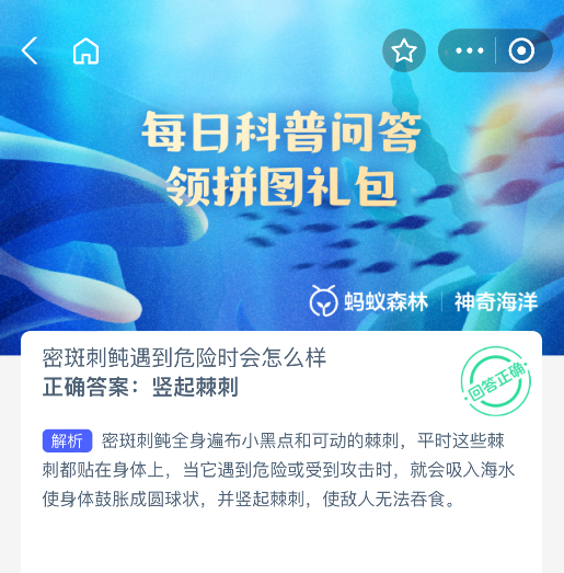 密斑刺鲀遇到危险时会怎么样(图2)