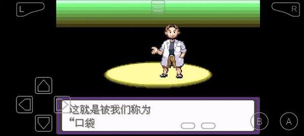 口袋妖怪漆黑的魅影内置菜单