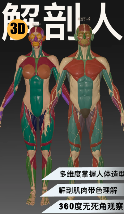 
3D速写