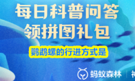 鹦鹉螺的行进方式是