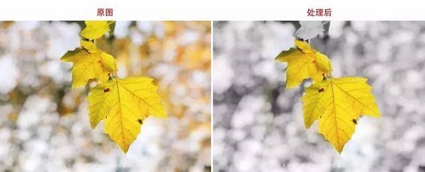 Snapseed 下载安装官方正版(图3)