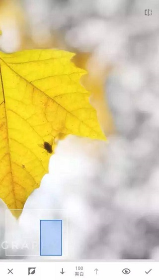 Snapseed 下载安装官方正版(图7)