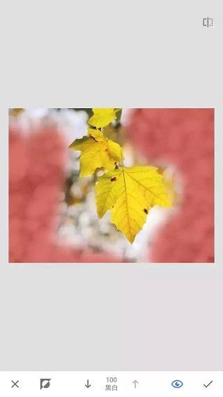 Snapseed 下载安装官方正版(图6)