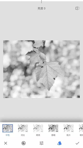 Snapseed 下载安装官方正版(图4)