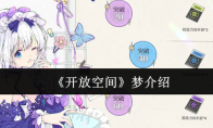 《开放空间》梦介绍