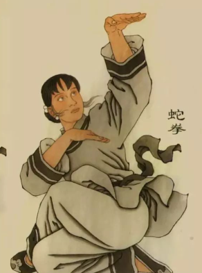 蛇拳属于哪种传统武术类别？