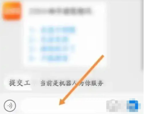 233乐园怎样跟客服聊天(图3)