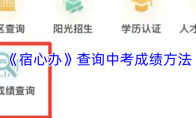 《宿心办》查询中考成绩方法