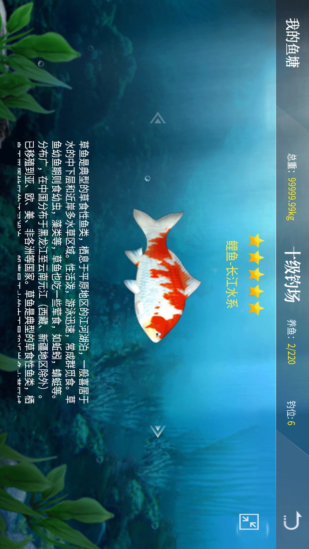 
垂钓宗师 官网版