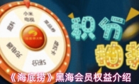 《海底捞》黑海会员权益介绍