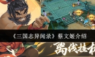 《三国志异闻录》蔡文姬介绍