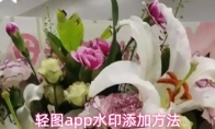 轻图app水印添加方法