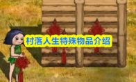 村落人生特殊物品介绍