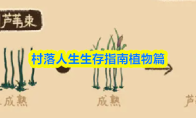 村落人生生存指南植物篇