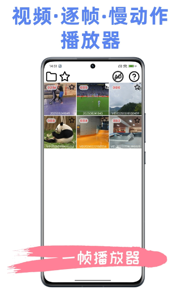 一帧播放器(图1)
