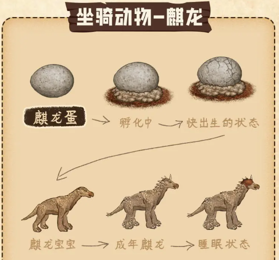 村落人生特殊物品介绍(图4)