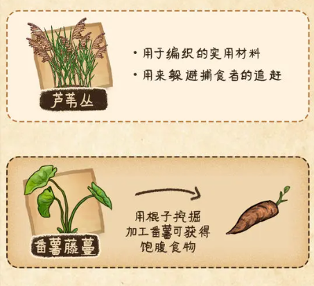 村落人生生存指南植物篇(图10)